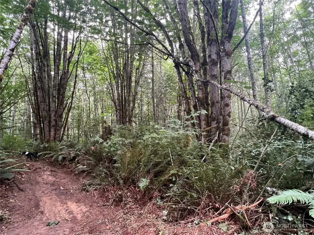 1 Scenic Drive Poulsbo WA 98370