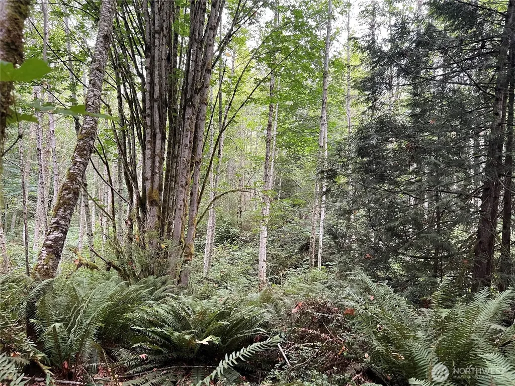 1 Scenic Drive Poulsbo WA 98370