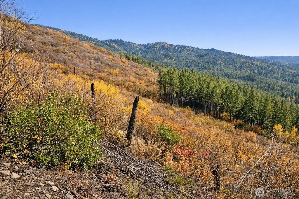14638 Us Highway 2 Leavenworth WA 98826