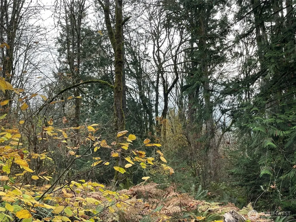 10312 SW 156th Street Vashon WA 98070
