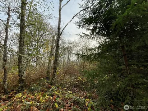 10312 SW 156th Street Vashon WA 98070