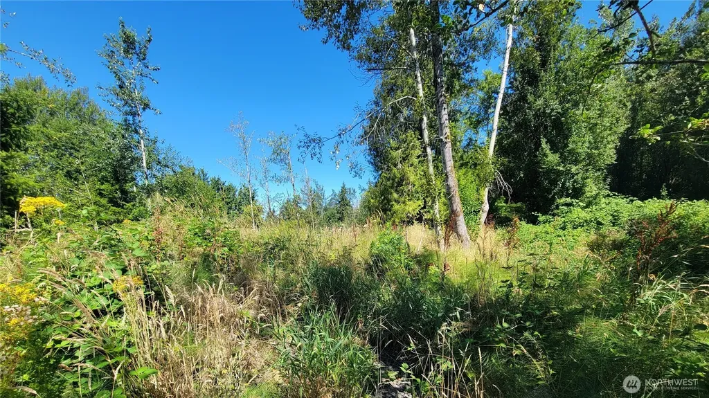 1431 N 14th Avenue Kelso WA 98626