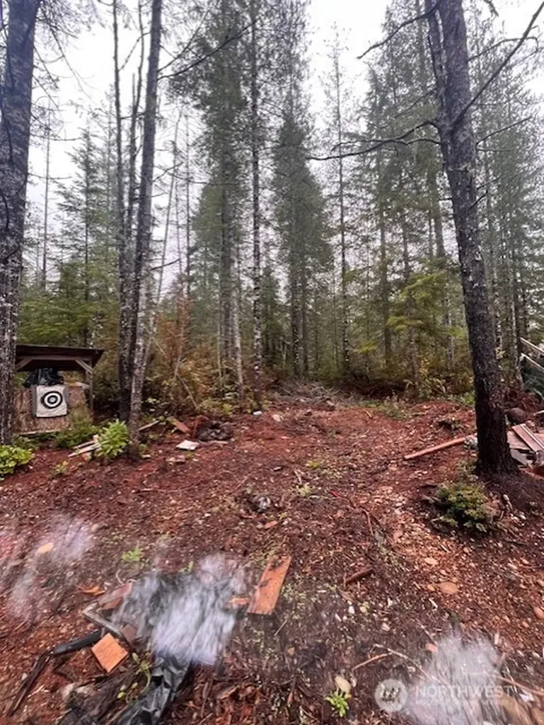 0 Dewatto Hills Road Belfair WA 98528