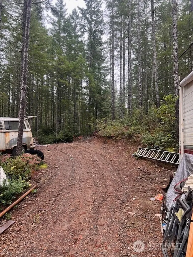 0 Dewatto Hills Road Belfair WA 98528