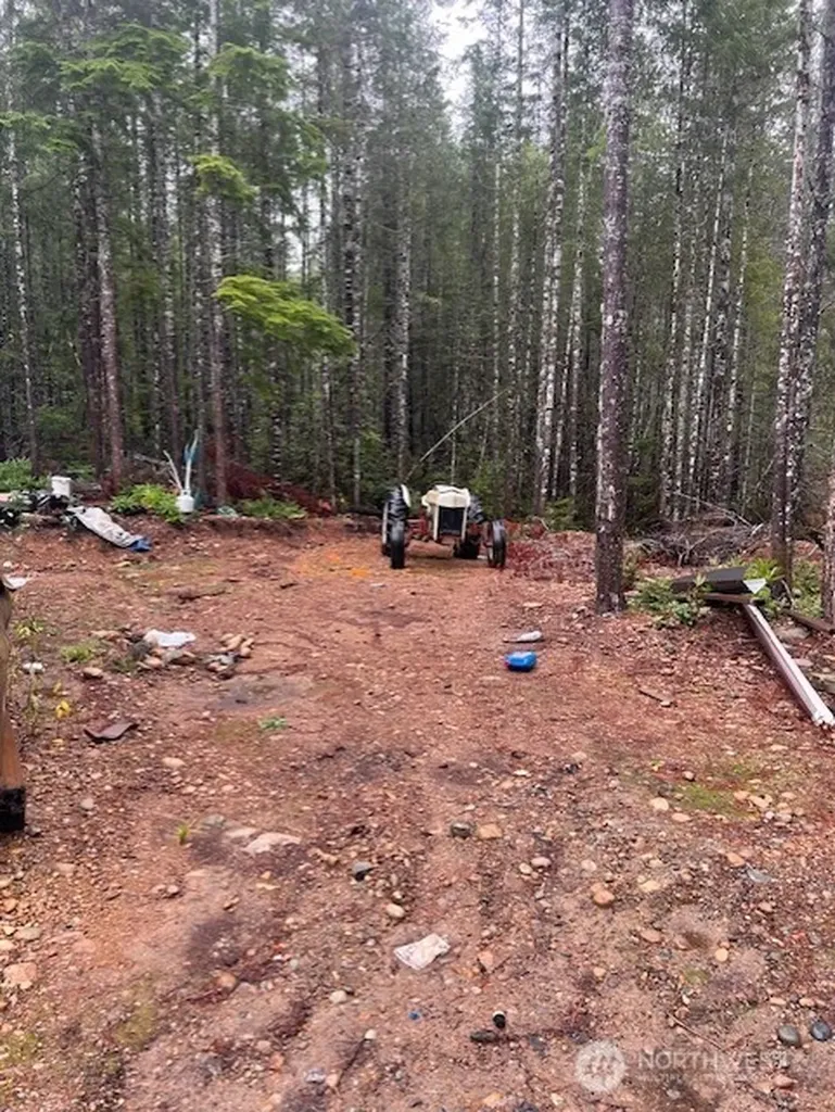 0 Dewatto Hills Road Belfair WA 98528
