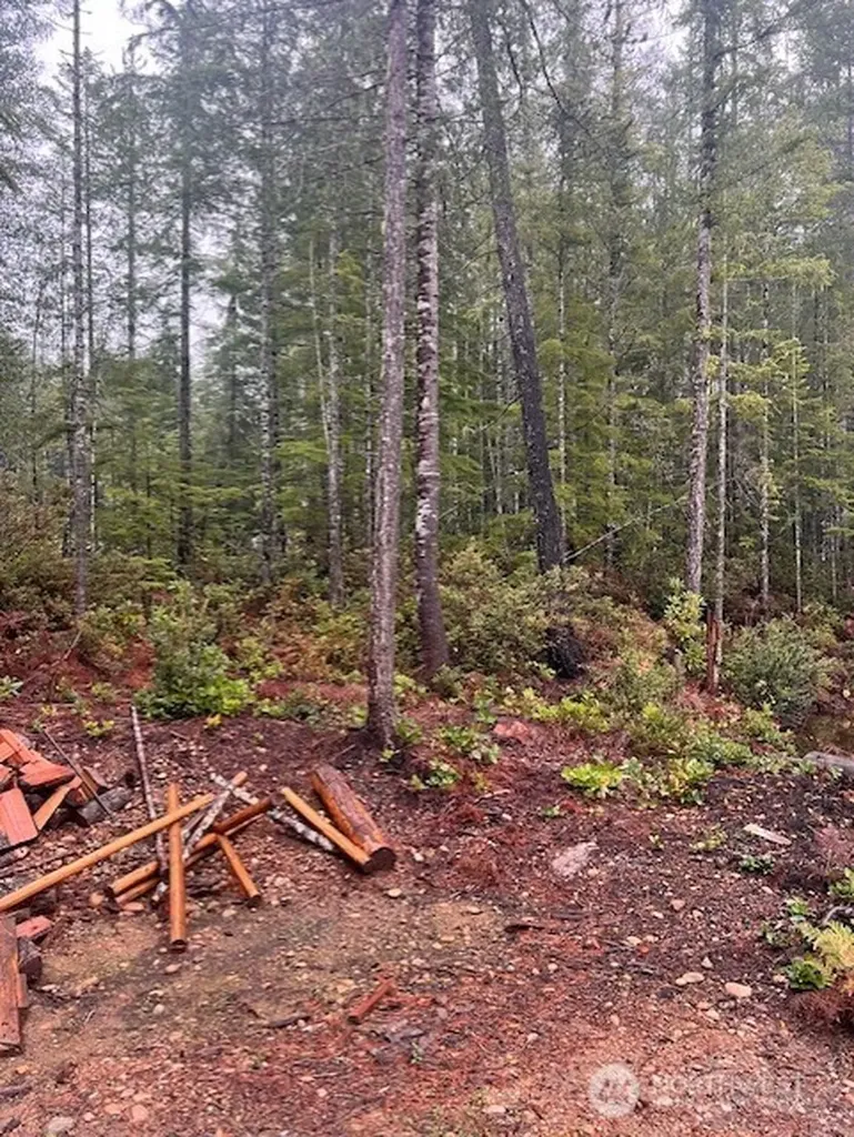0 Dewatto Hills Road Belfair WA 98528
