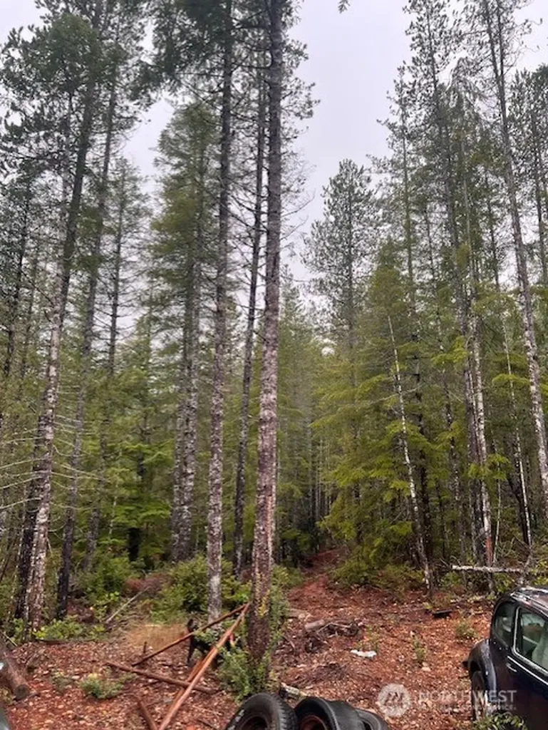 0 Dewatto Hills Road Belfair WA 98528