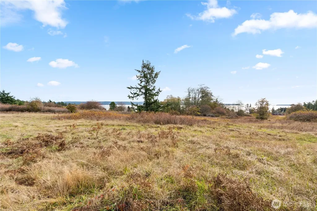 0 Pear Point Road Friday Harbor WA 98250