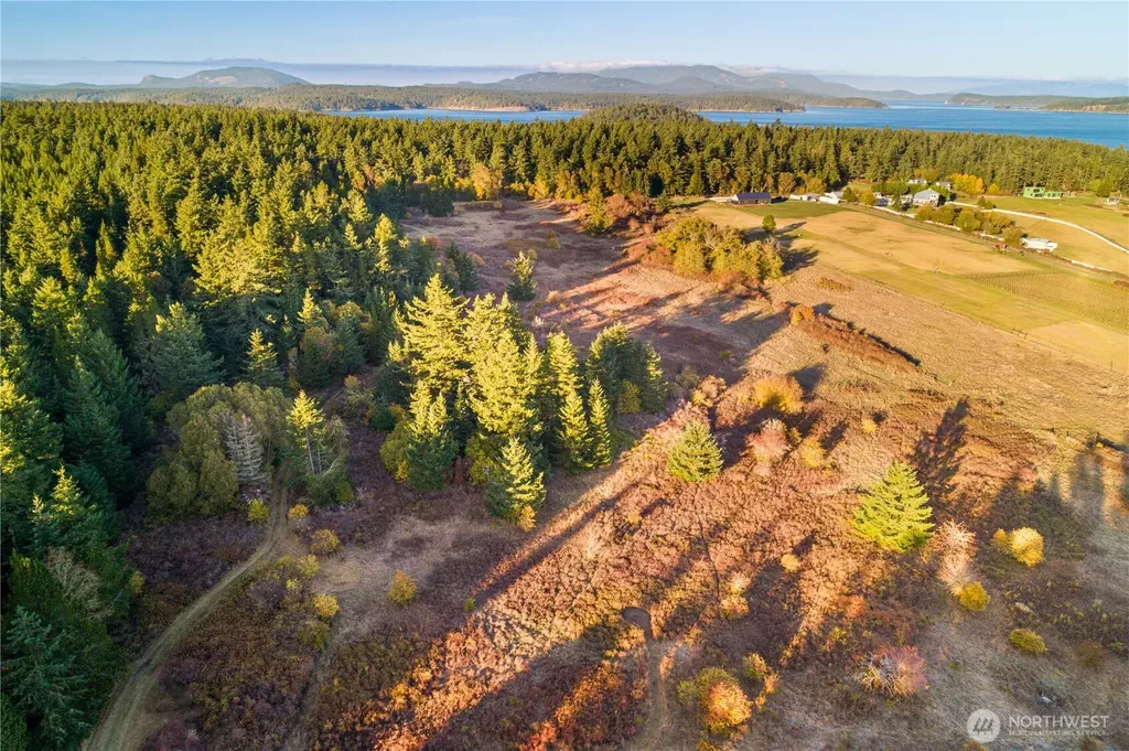 0 Pear Point Road Friday Harbor WA 98250