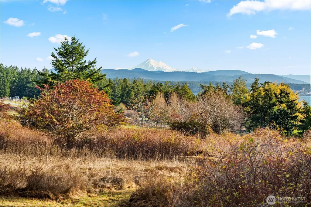 0 Pear Point Road Friday Harbor WA 98250