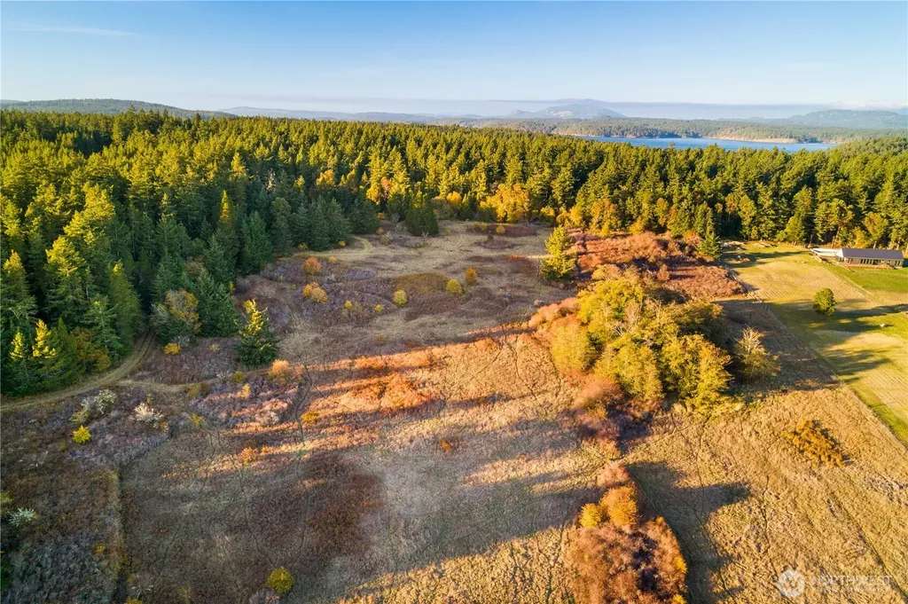 0 Pear Point Road Friday Harbor WA 98250