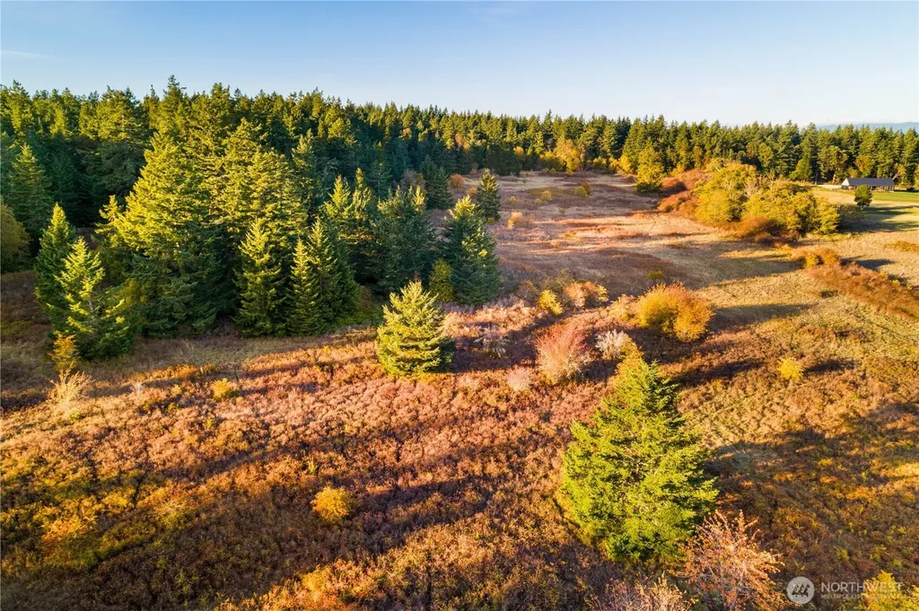 0 Pear Point Road Friday Harbor WA 98250