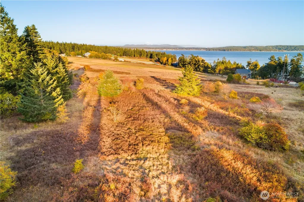 0 Pear Point Road Friday Harbor WA 98250