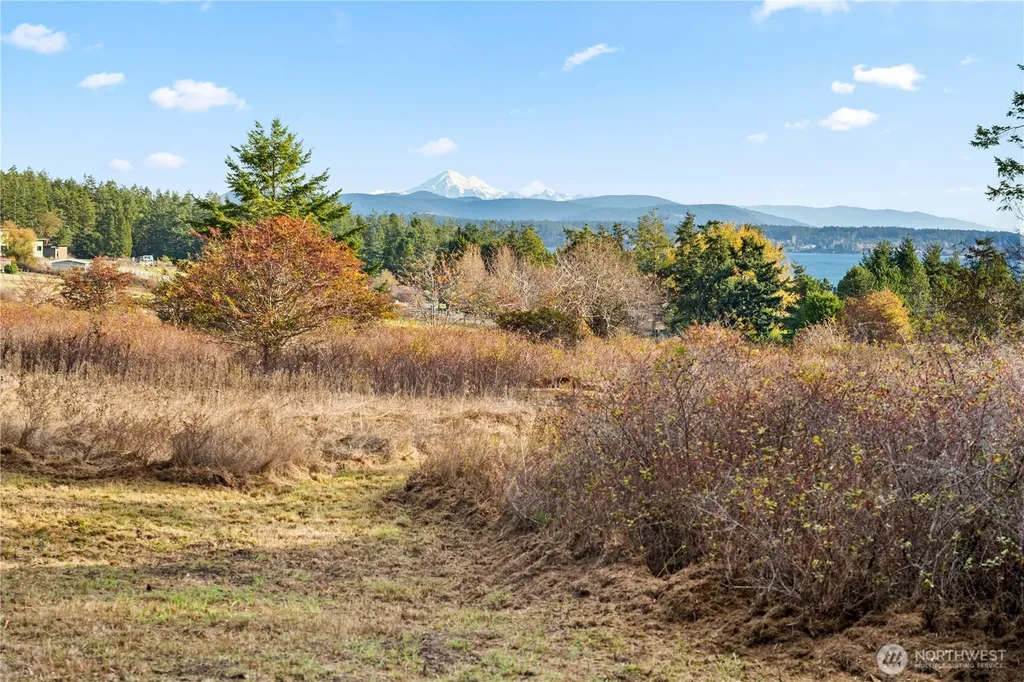 0 Pear Point Road Friday Harbor WA 98250