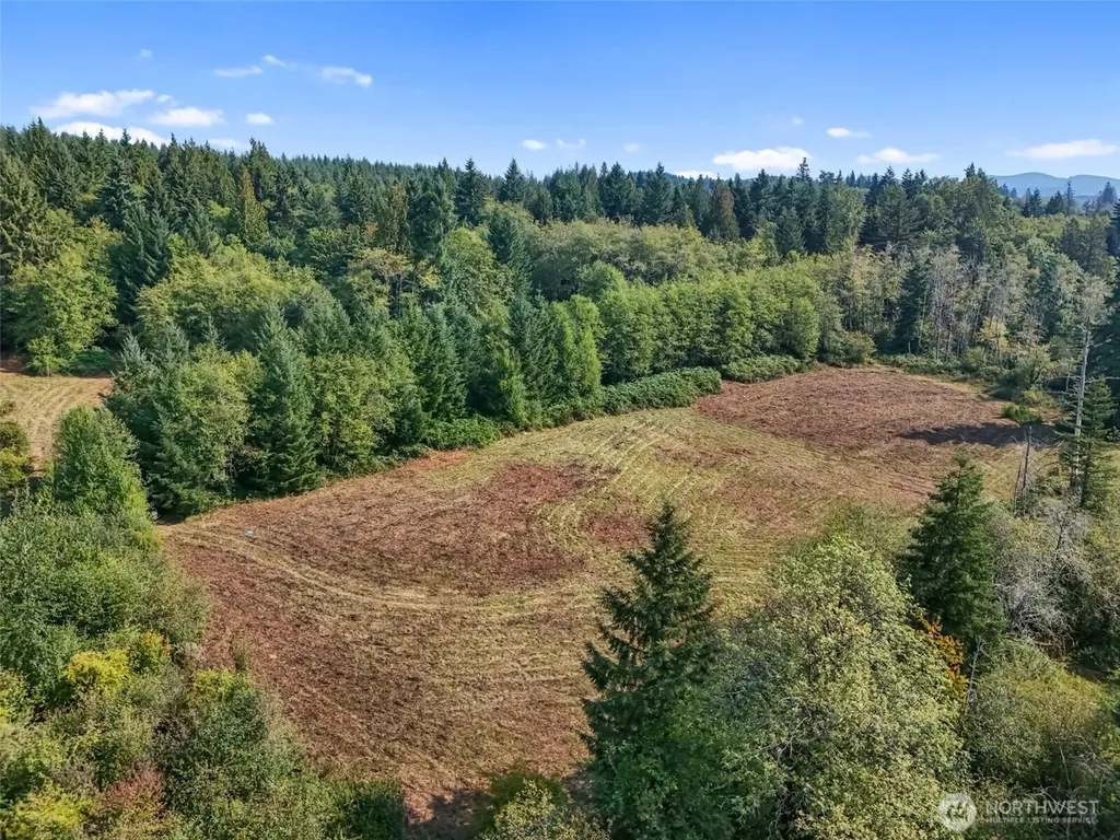 104 Bills Lane Onalaska WA 98570