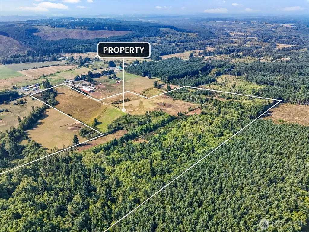 104 Bills Lane Onalaska WA 98570