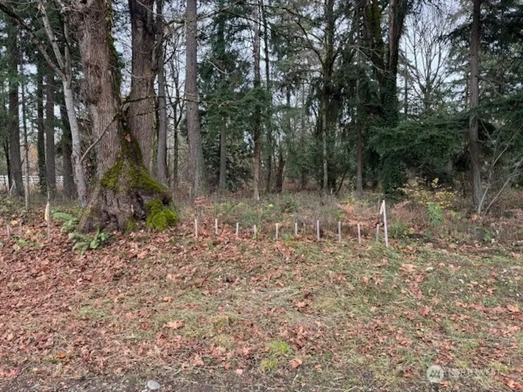 36820 52nd Avenue S Auburn WA 98001