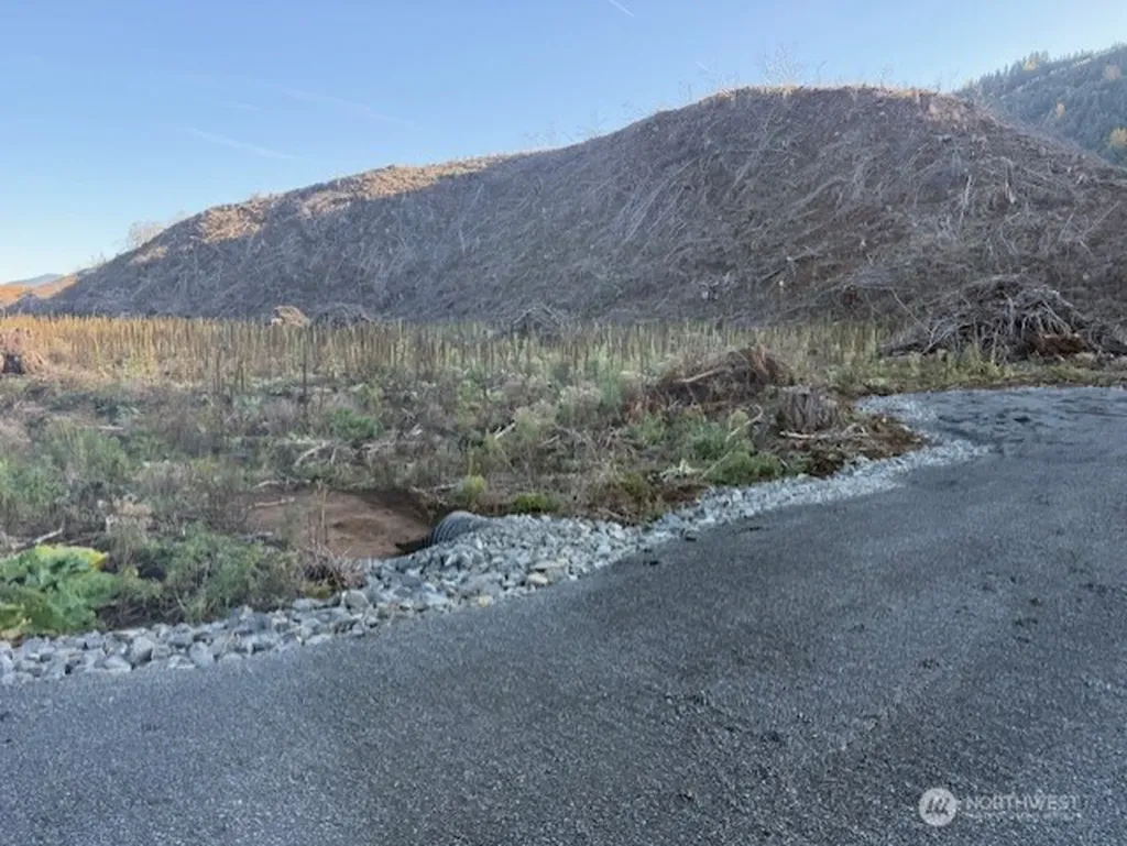 0 Us Highway 12 Glenoma WA 98336