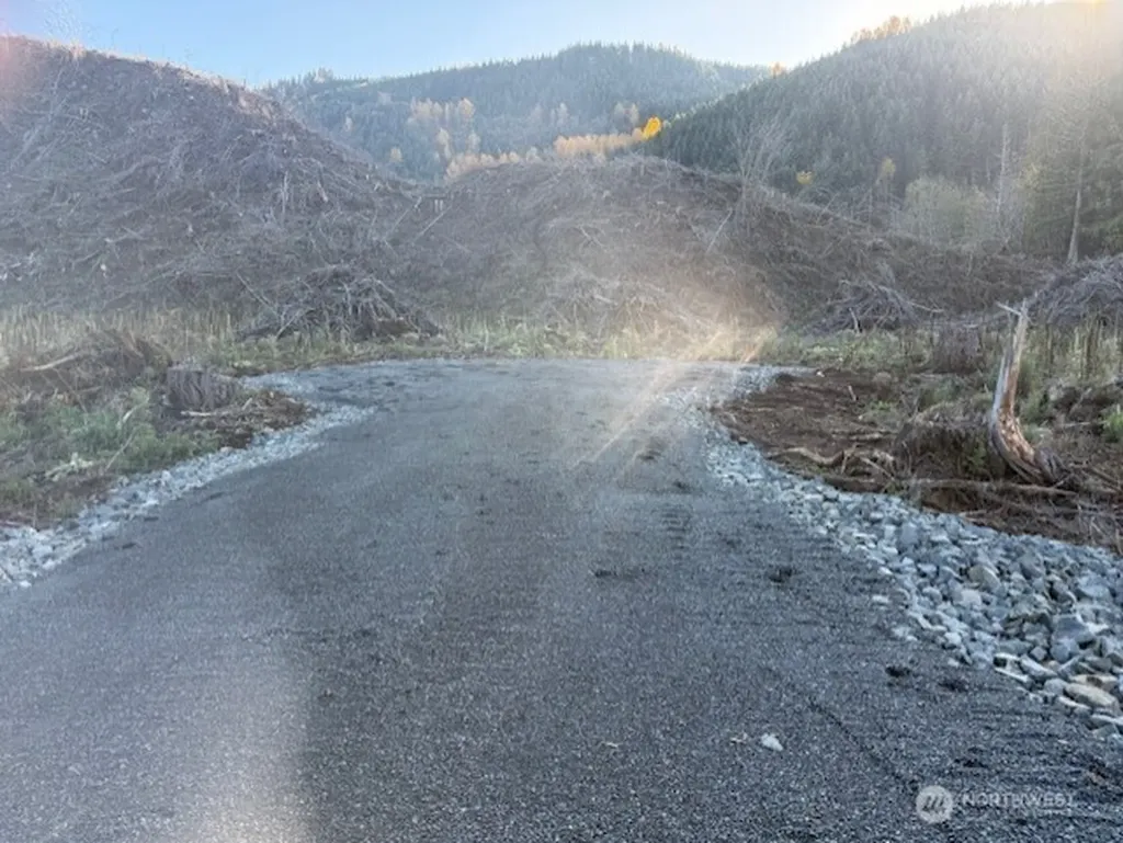 0 Us Highway 12 Glenoma WA 98336