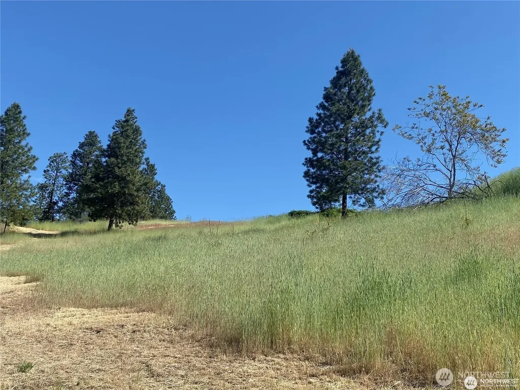 2524 Lakeshore Drive Manson WA 98831