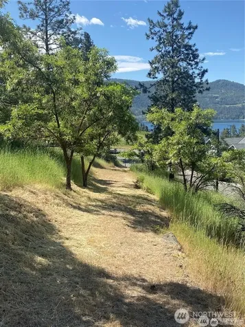 2524 Lakeshore Drive Manson WA 98831