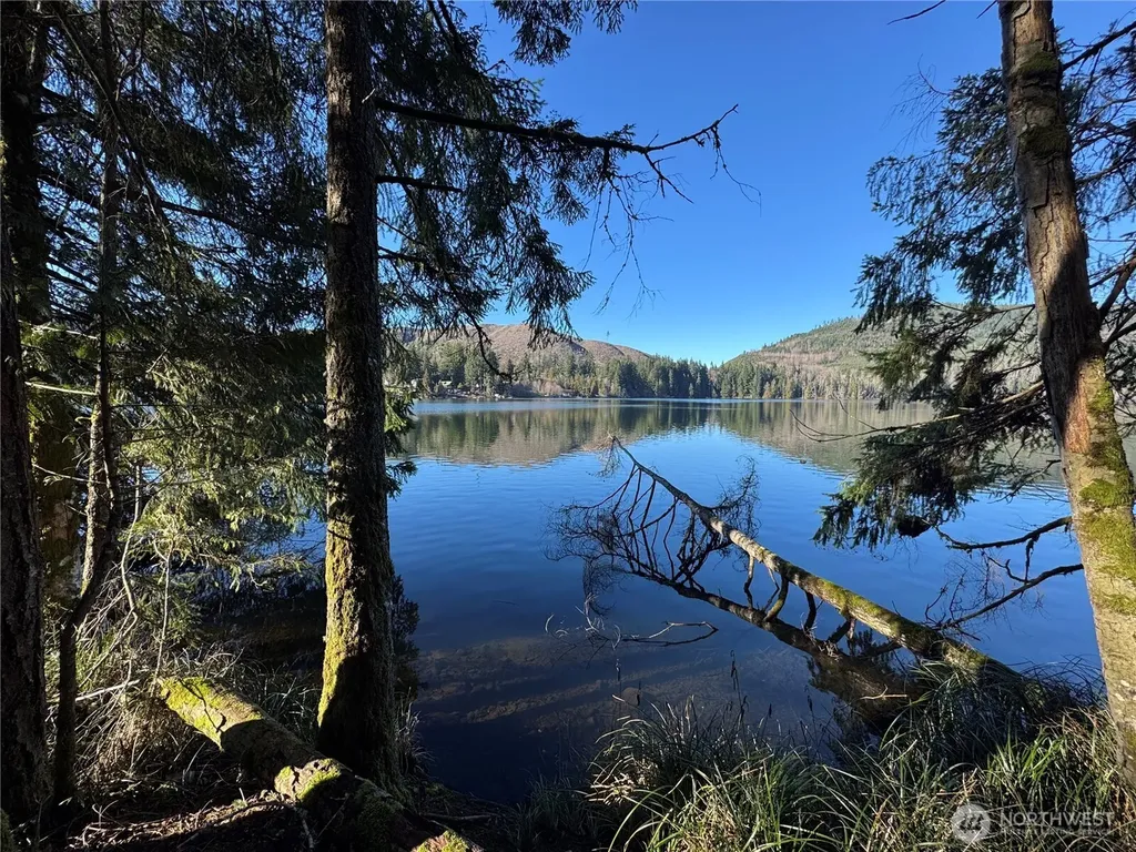 0 Mineral Creek Road N Mineral WA 98355