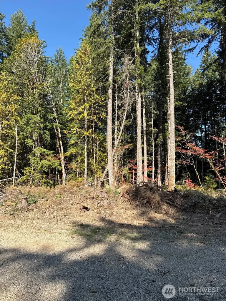 0 Mineral Creek Road N Mineral WA 98355