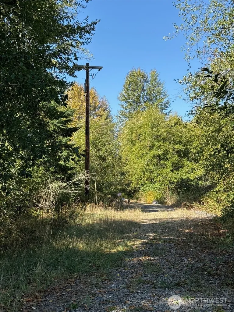 0 Mineral Creek Road N Mineral WA 98355