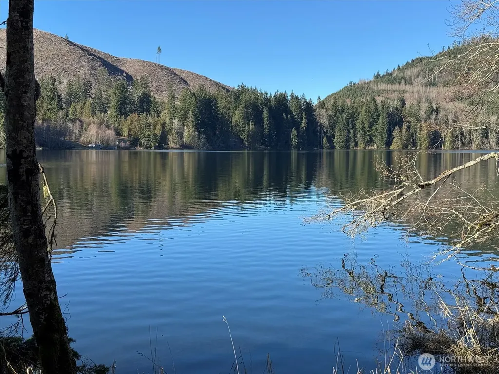 0 Mineral Creek Road N Mineral WA 98355