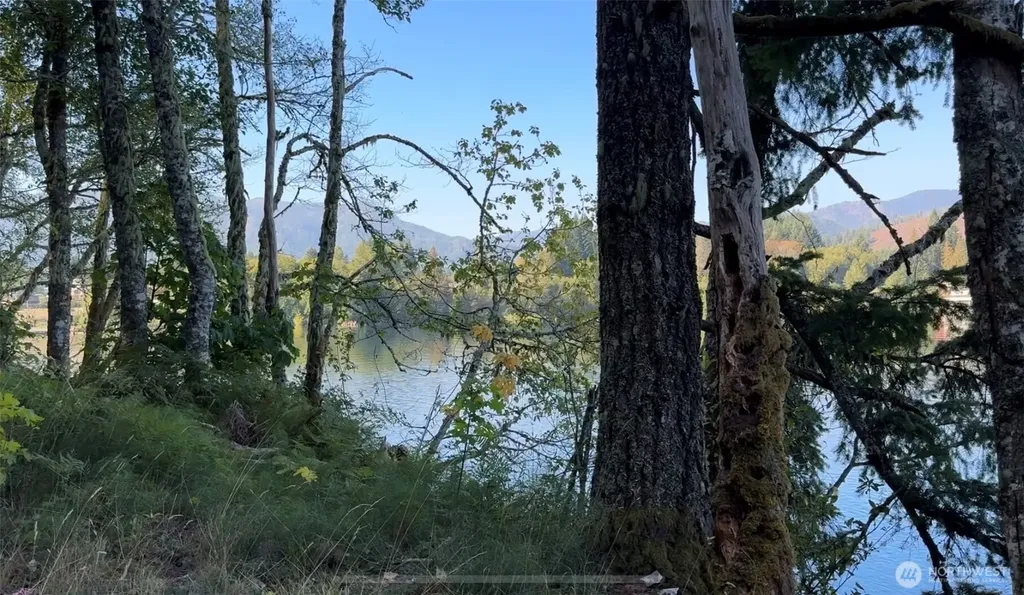 0 Mineral Creek Road N Mineral WA 98355