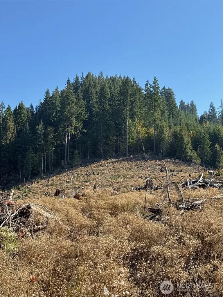 0 Mineral Creek Road N Mineral WA 98355