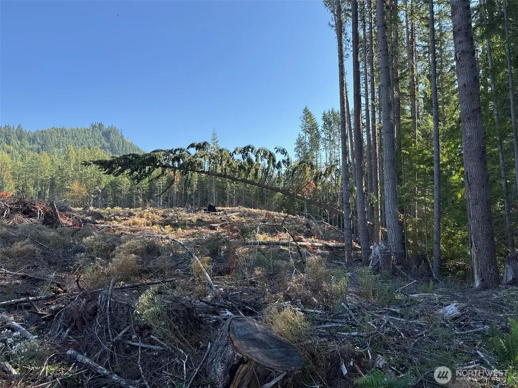 0 Mineral Creek Road N Mineral WA 98355