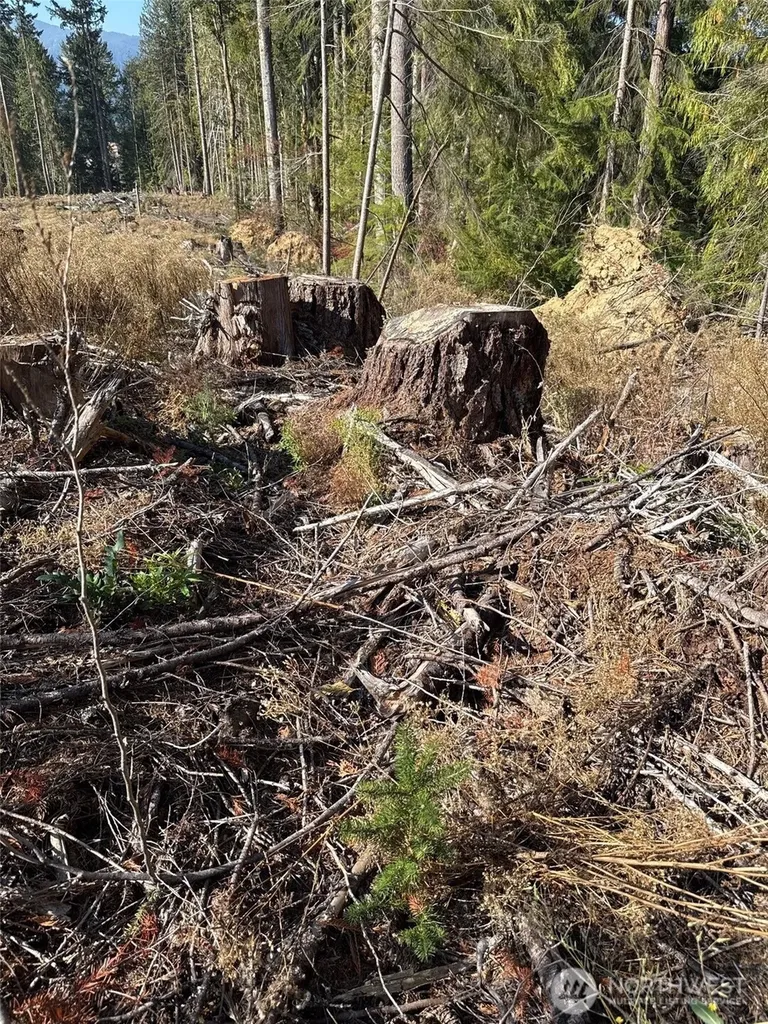 0 Mineral Creek Road N Mineral WA 98355