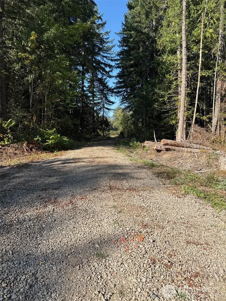 0 Mineral Creek Road N Mineral WA 98355