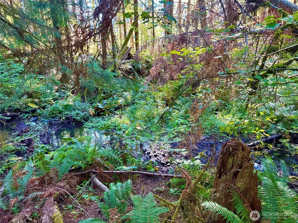 0 Mineral Creek Road N Mineral WA 98355