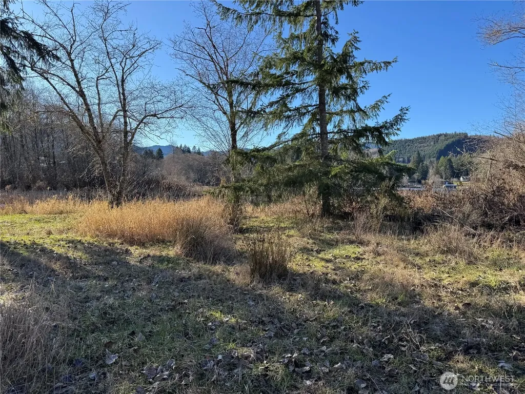 0 Mineral Creek Road N Mineral WA 98355
