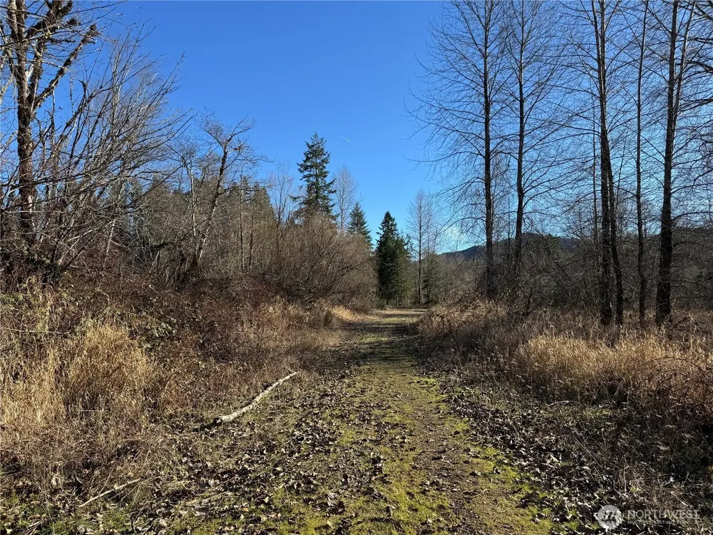 0 Mineral Creek Road N Mineral WA 98355