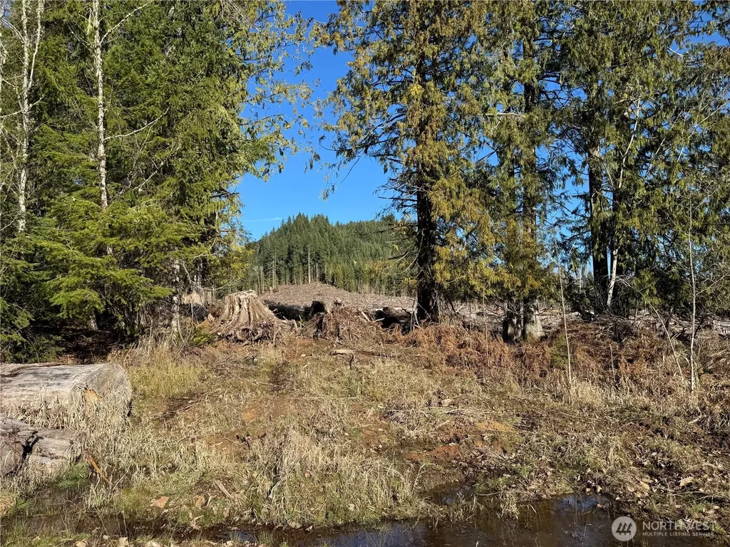 0 Mineral Creek Road N Mineral WA 98355