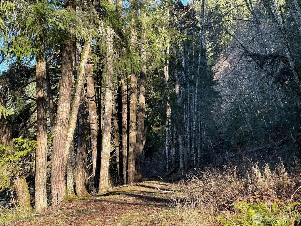 0 Mineral Creek Road N Mineral WA 98355