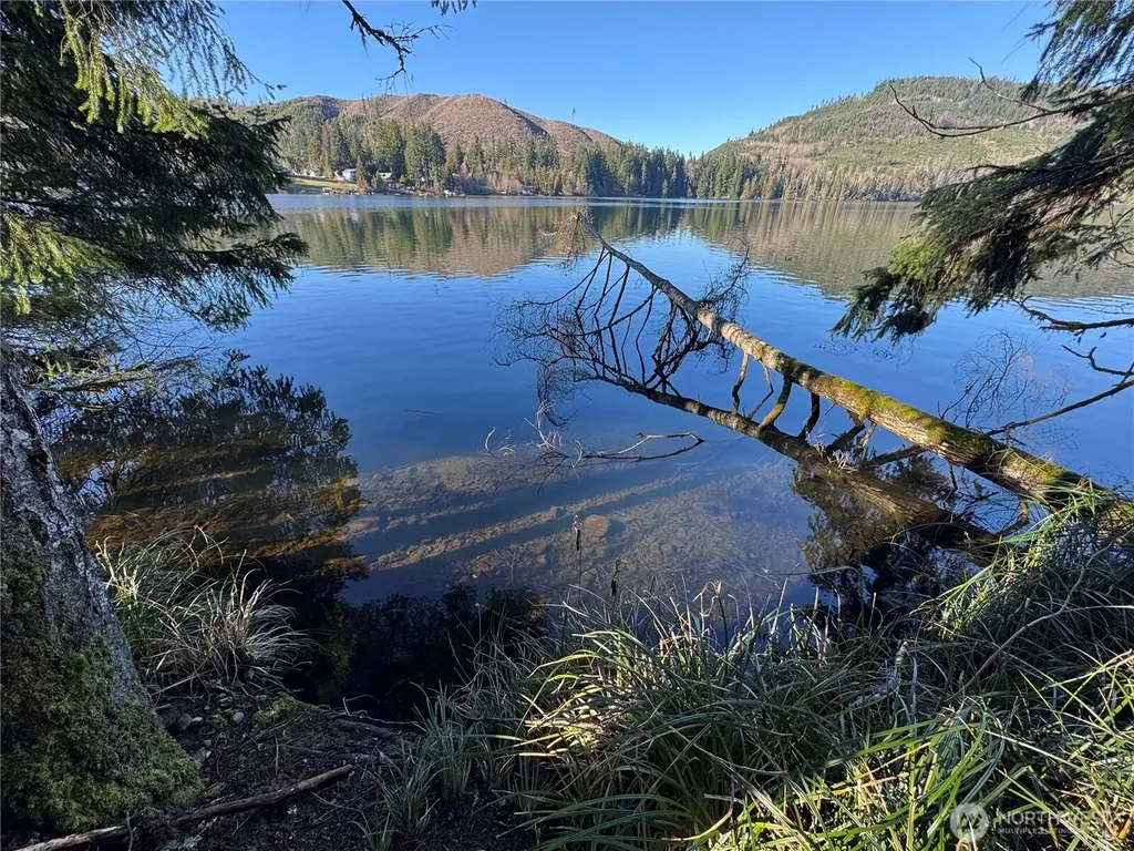 0 Mineral Creek Road N Mineral WA 98355