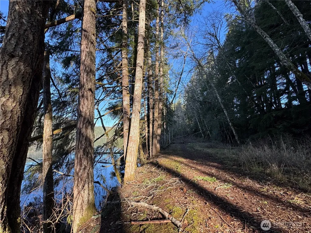 0 Mineral Creek Road N Mineral WA 98355
