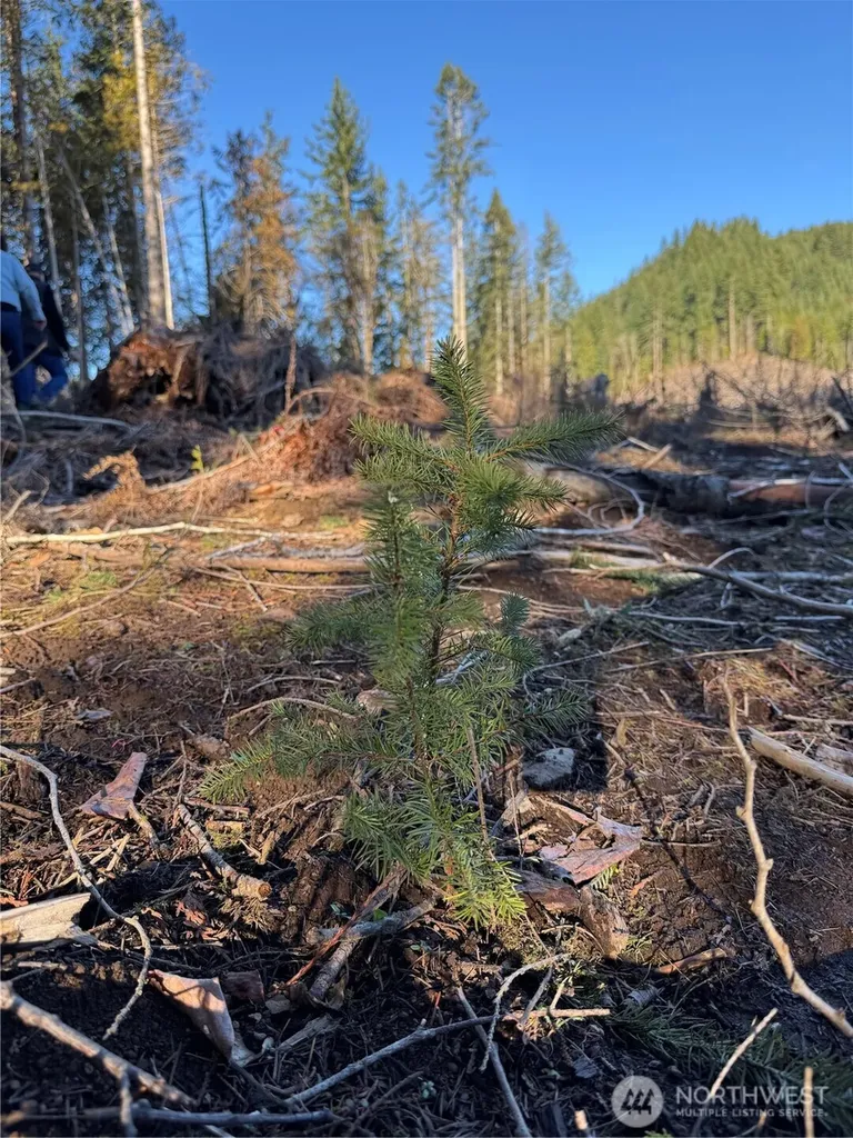 0 Mineral Creek Road N Mineral WA 98355