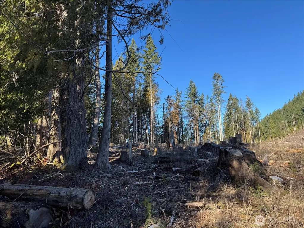 0 Mineral Creek Road N Mineral WA 98355
