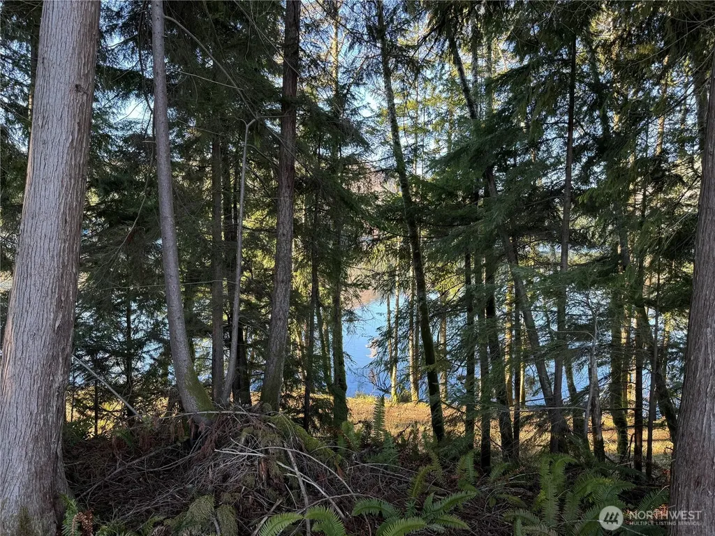 0 Mineral Creek Road N Mineral WA 98355