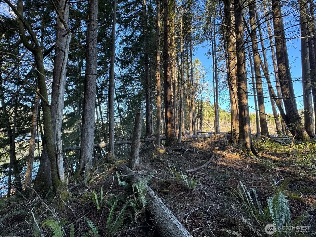 0 Mineral Creek Road N Mineral WA 98355