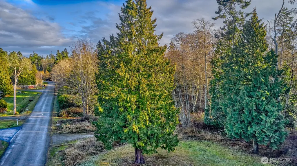 230 Iris Boulevard Point Roberts WA 98281