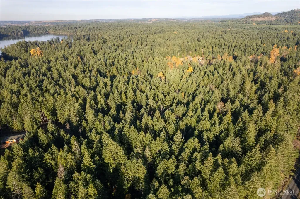 0 Bald Hills Road Yelm WA 98597