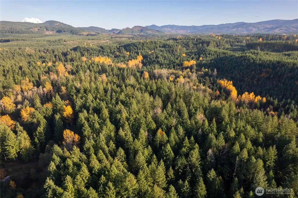 0 Bald Hills Road Yelm WA 98597