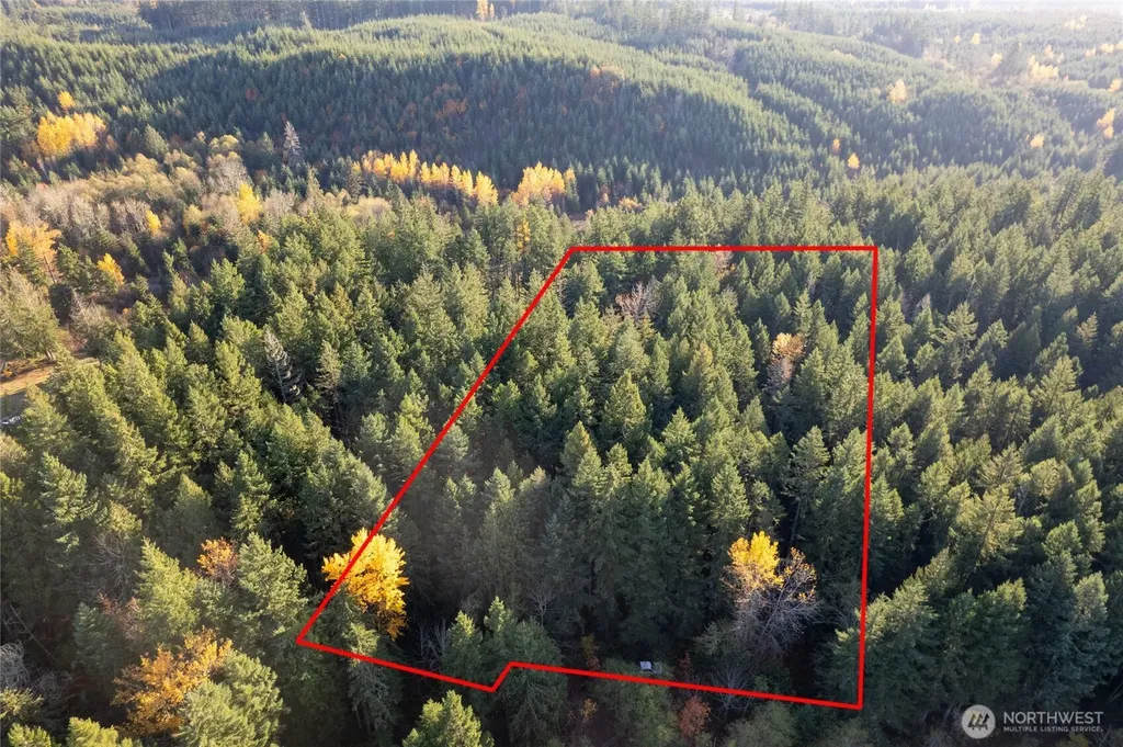0 Bald Hills Road Yelm WA 98597