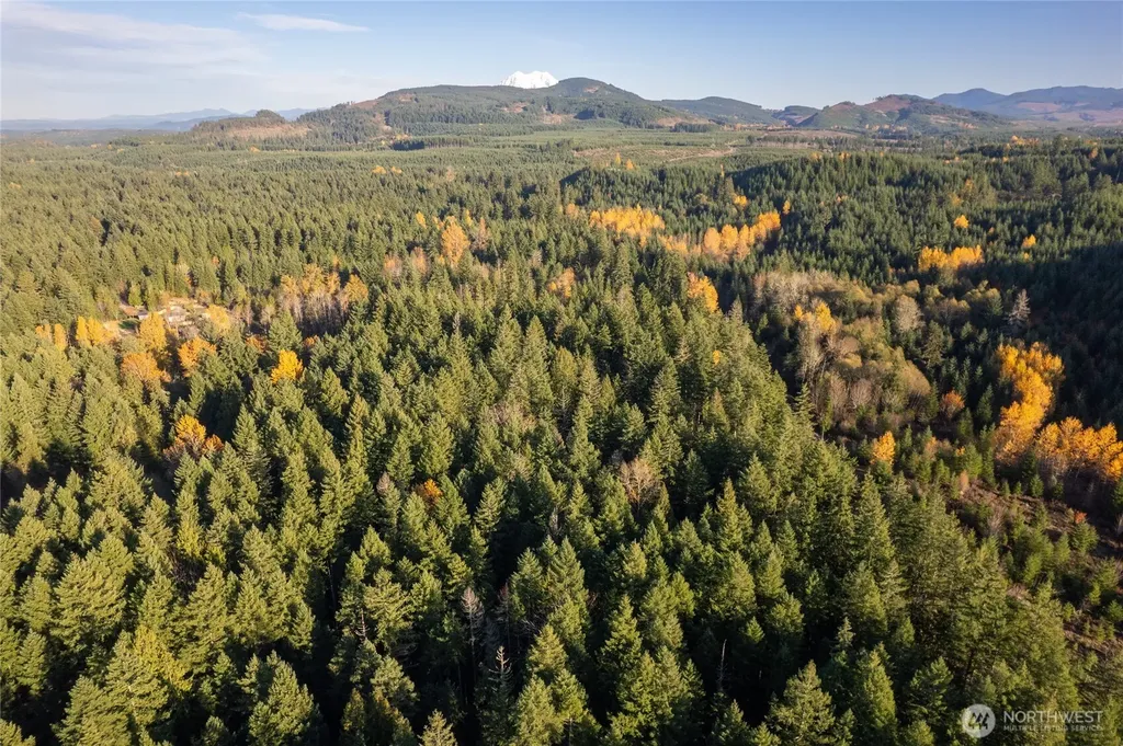 0 Bald Hills Road Yelm WA 98597